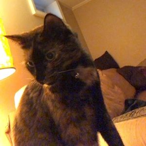 Meet your Posher, Skylar